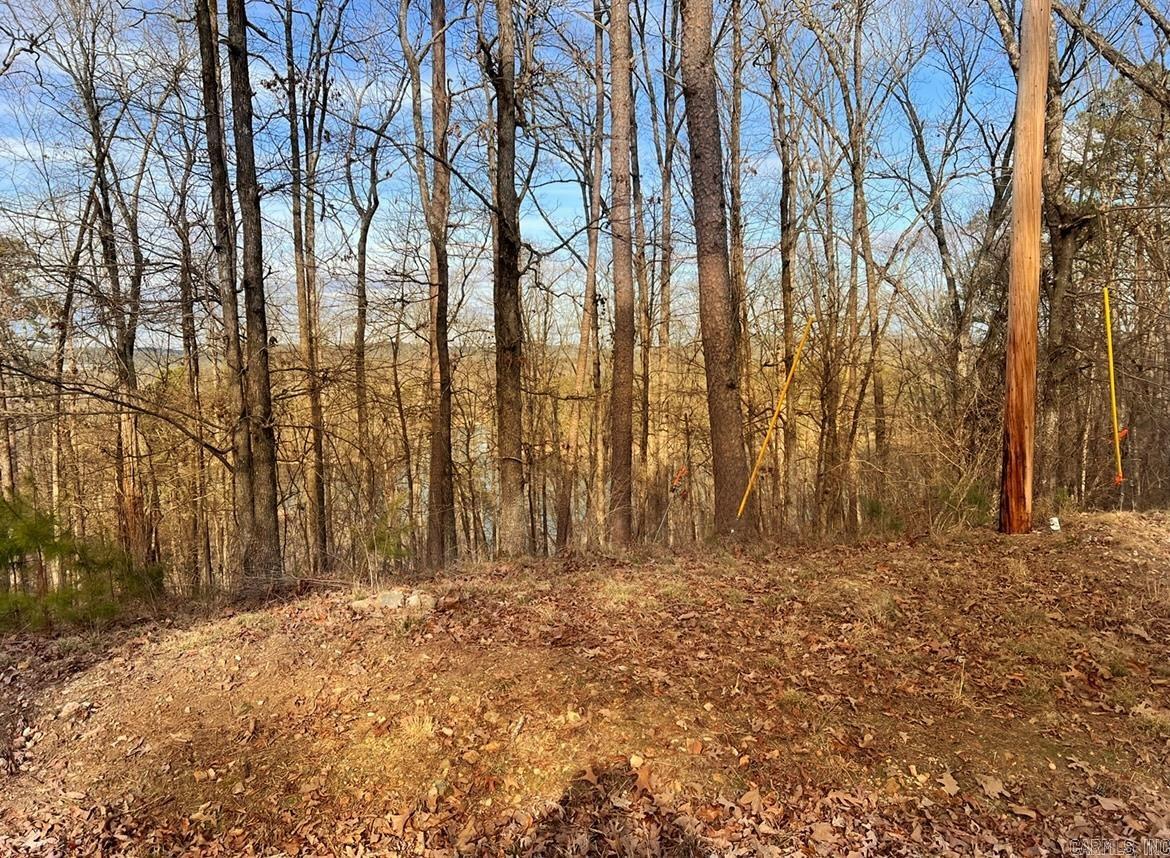 208  Avonshire  Hot Springs, AR