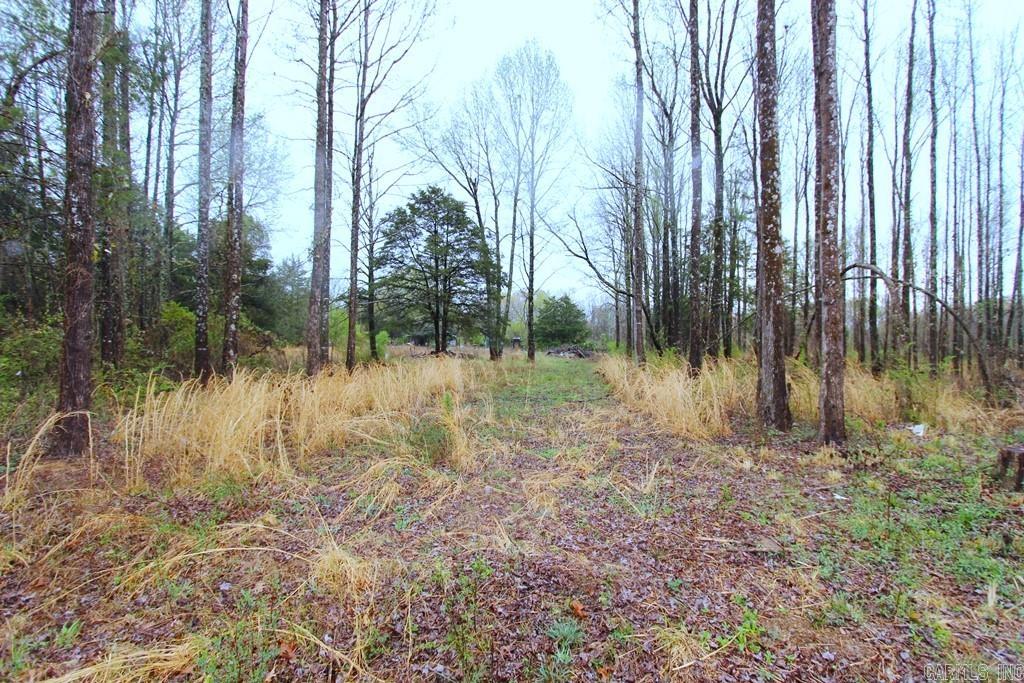 35  Watson  Greenbrier, AR