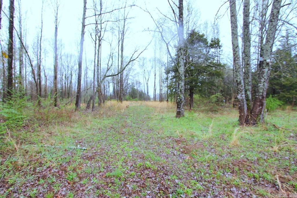 35  Watson  Greenbrier, AR