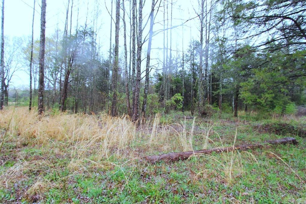 35  Watson  Greenbrier, AR