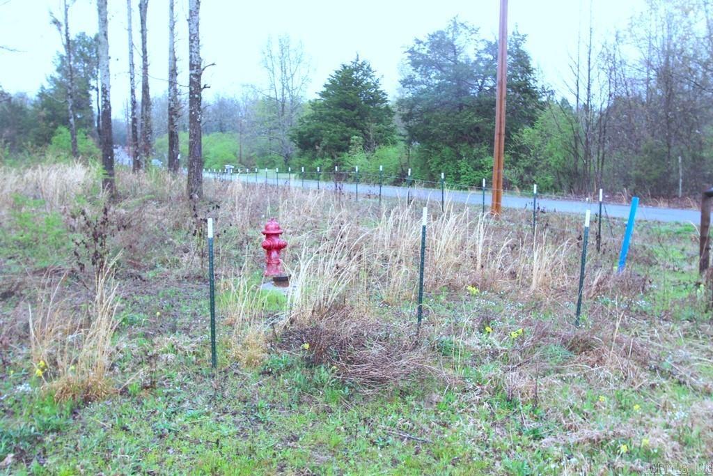 37  Watson  Greenbrier, AR