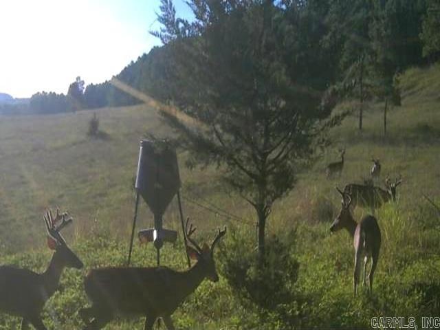 438 Nathan  Nashville, AR