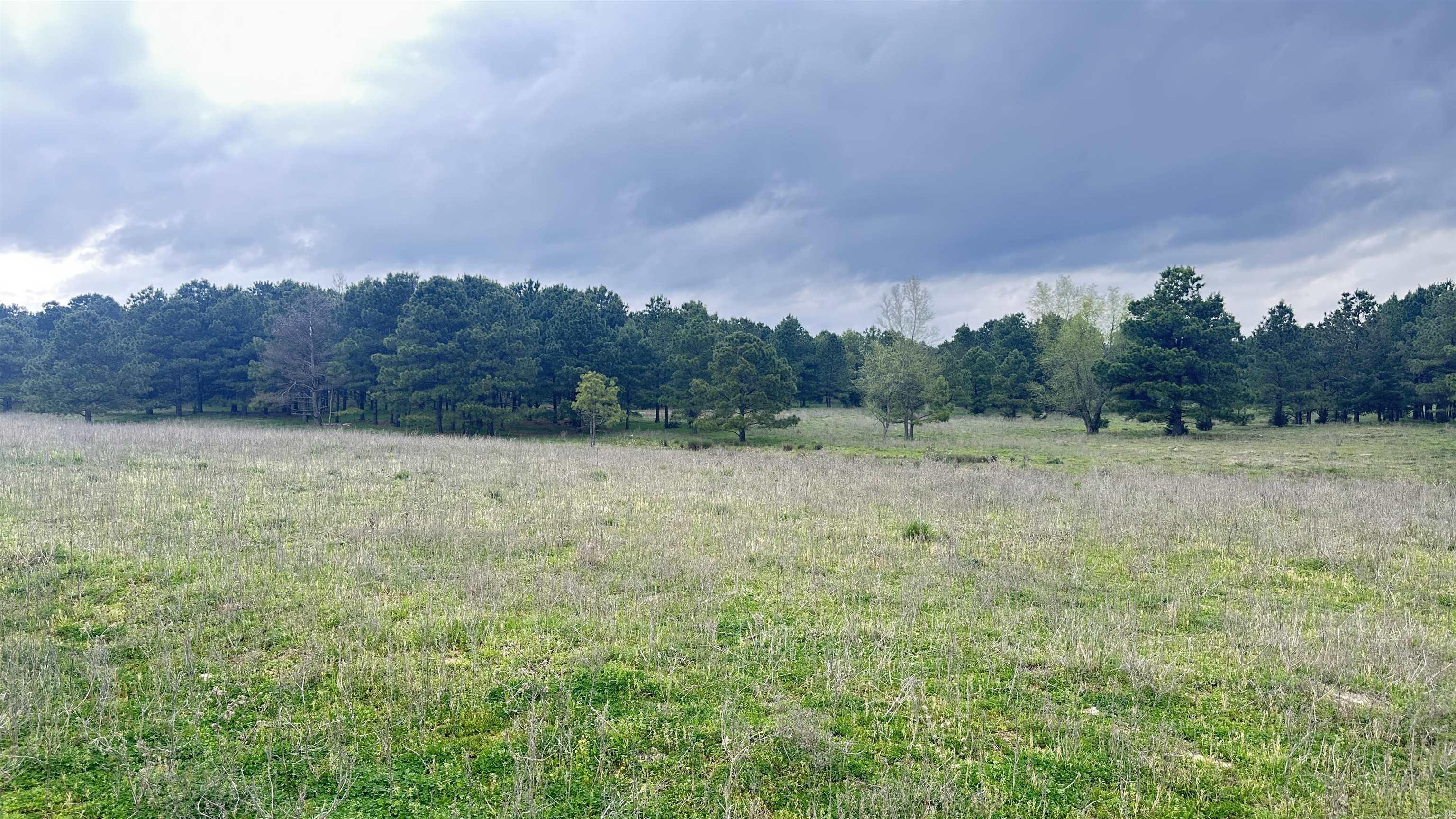 438 Nathan  Nashville, AR