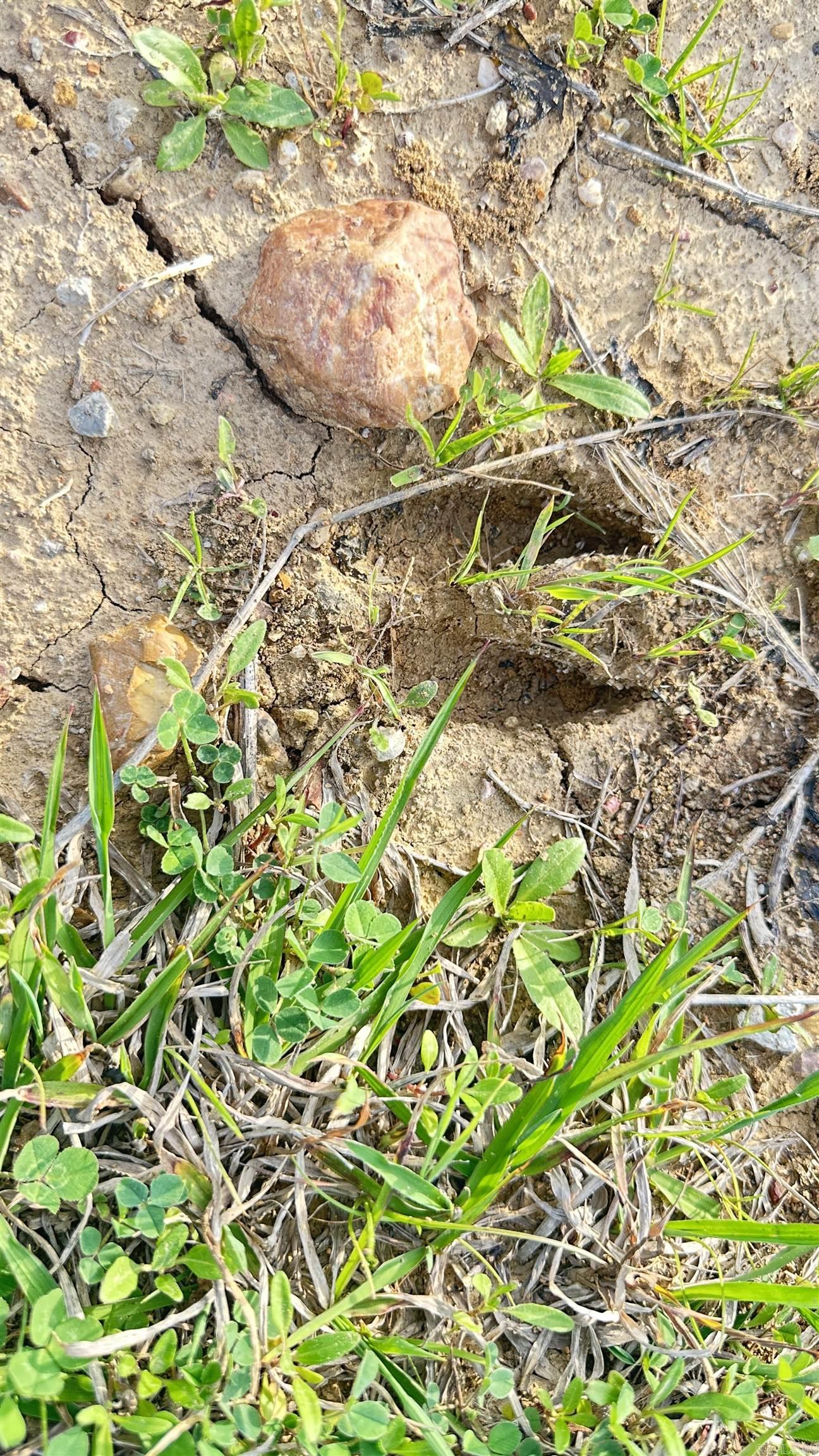 438 Nathan  Nashville, AR