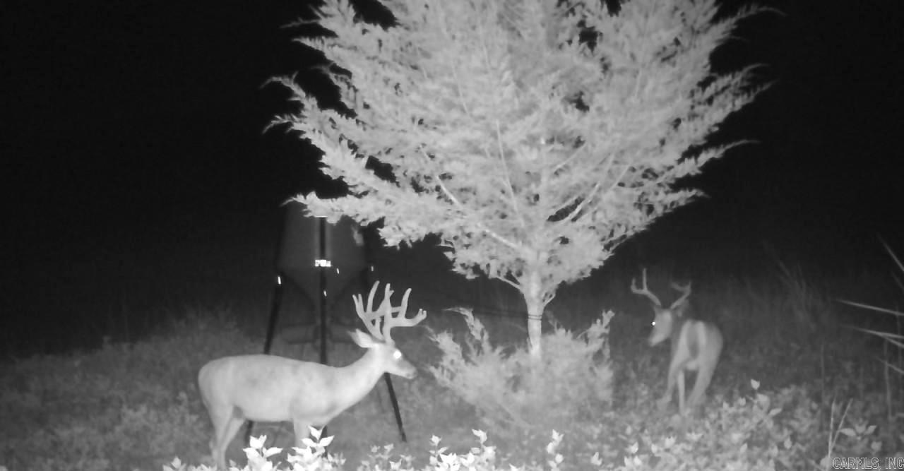 438 Nathan  Nashville, AR