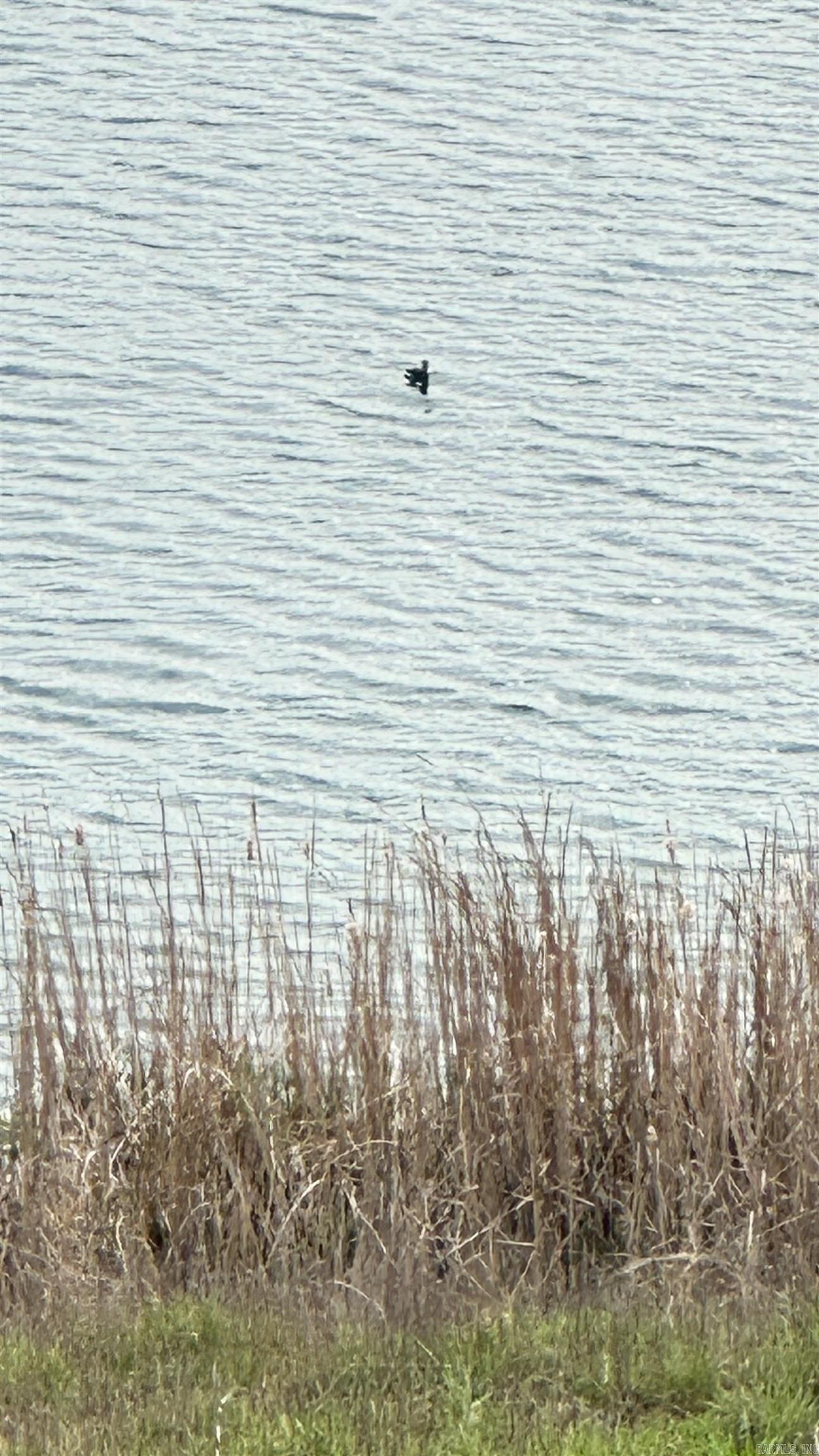 438 Nathan  Nashville, AR