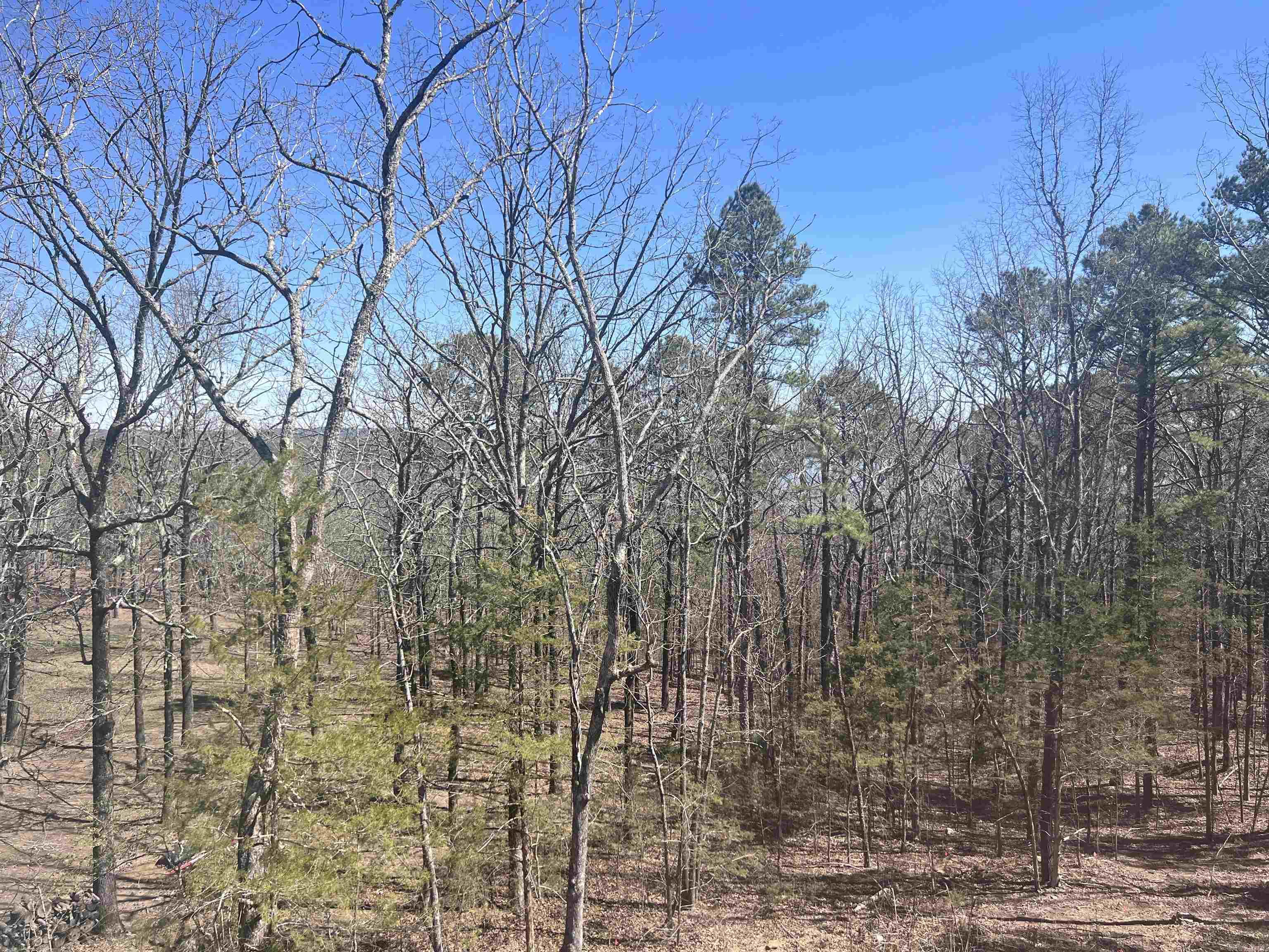 660  Mill Creek  Higden, AR