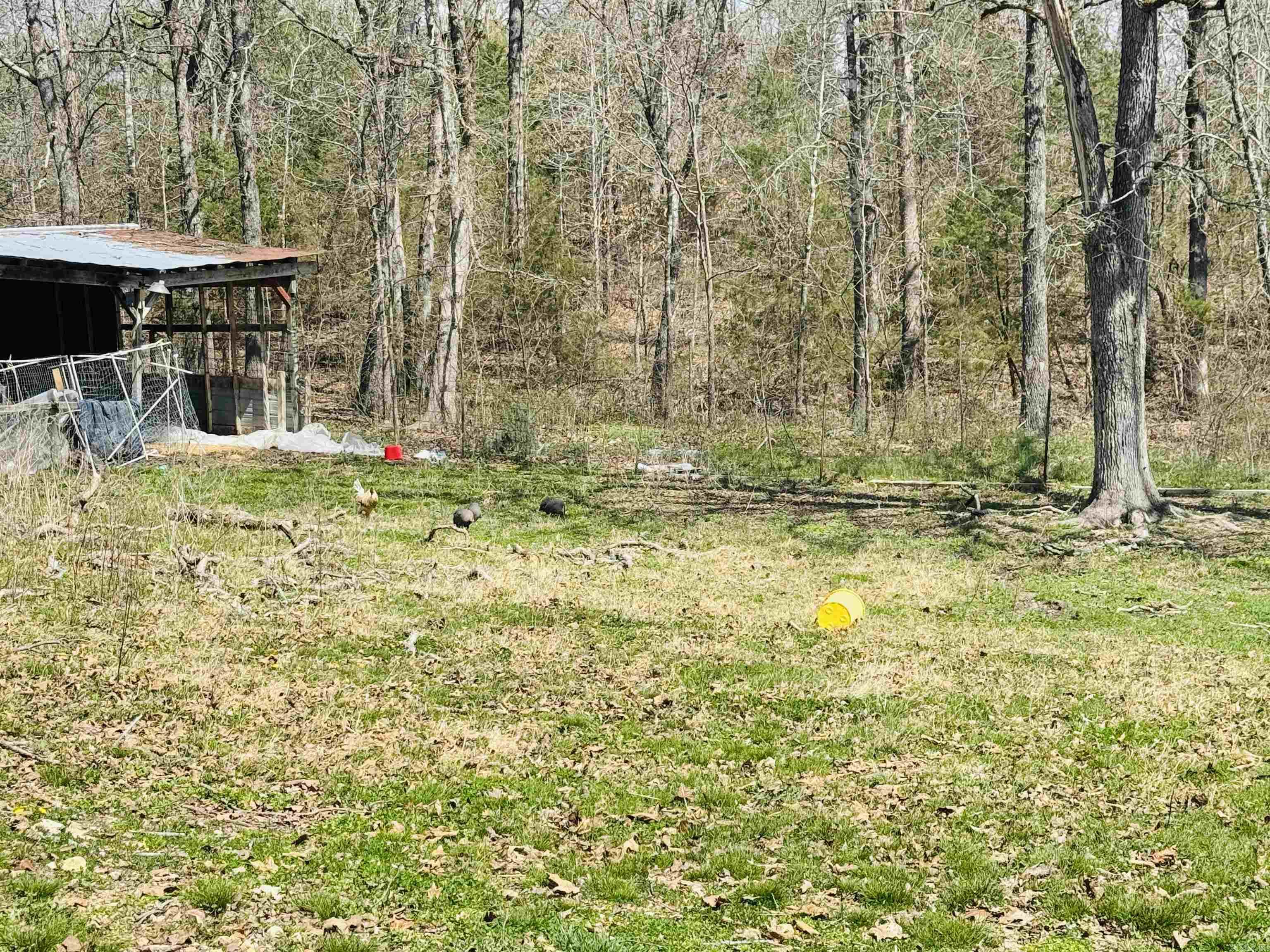 3912  AR Hwy 354  Oxford, AR