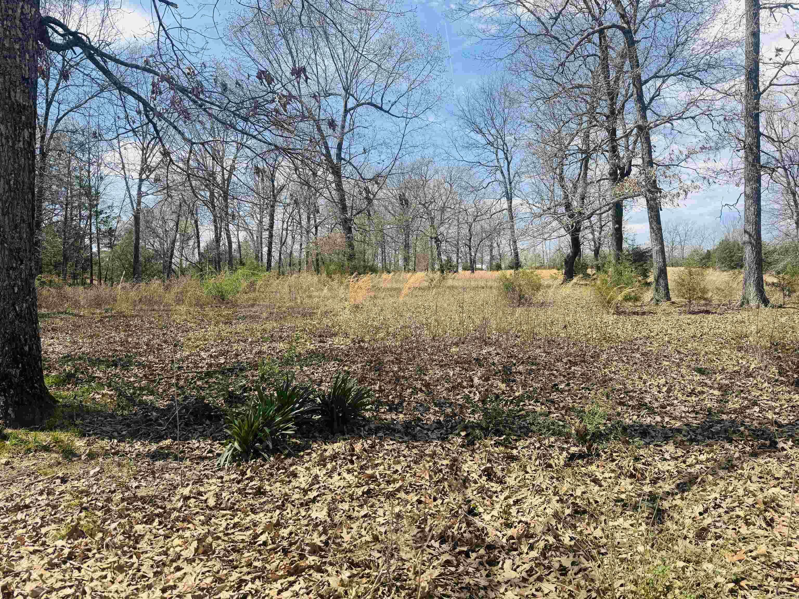 3912  AR Hwy 354  Oxford, AR