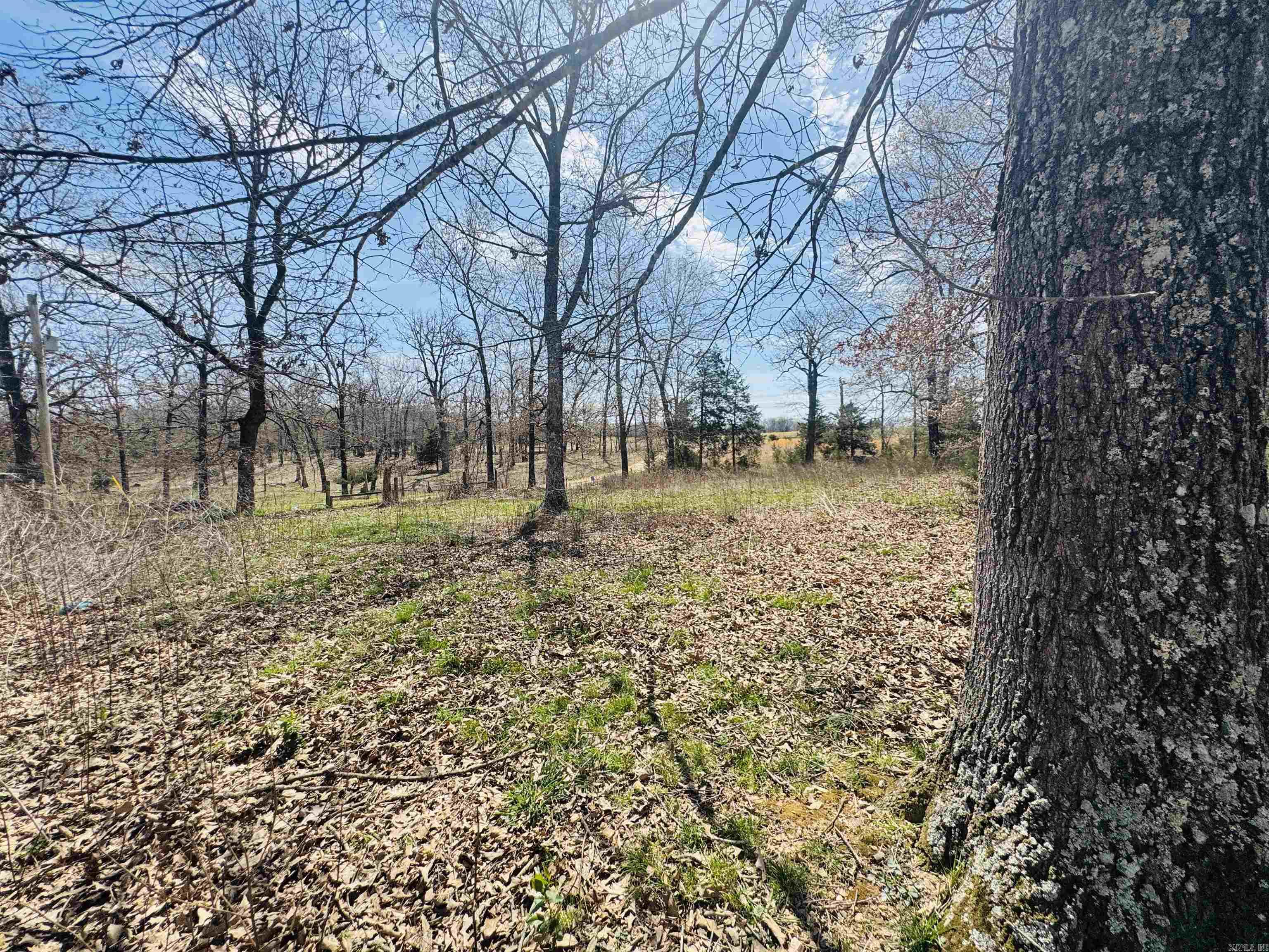 3912  AR Hwy 354  Oxford, AR