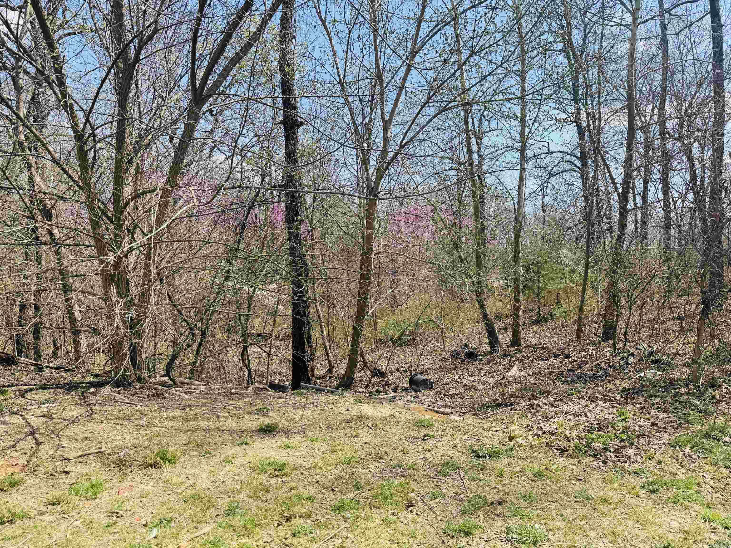 3912  AR Hwy 354  Oxford, AR
