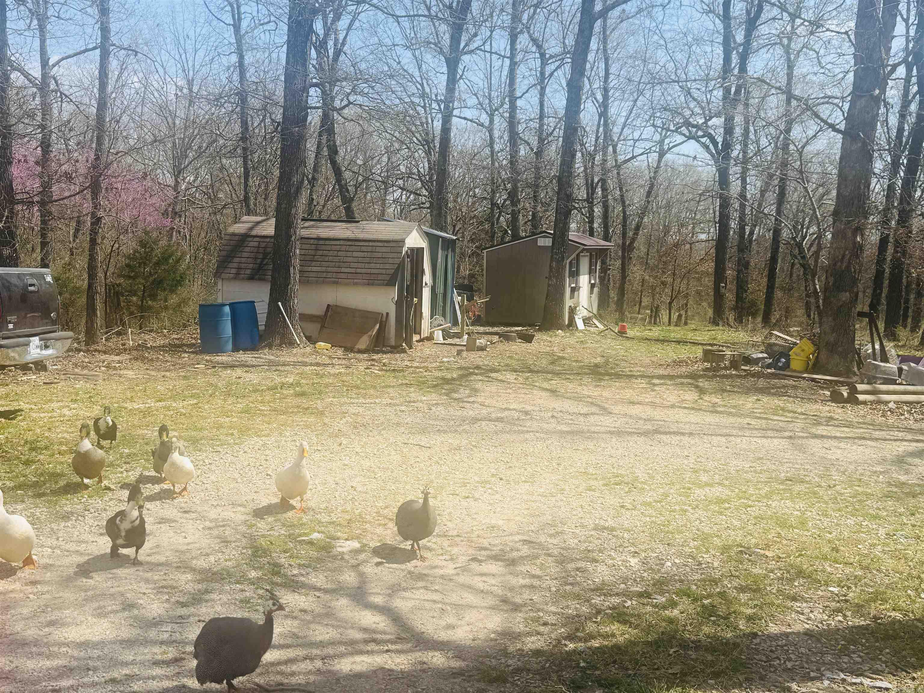 3912  AR Hwy 354  Oxford, AR