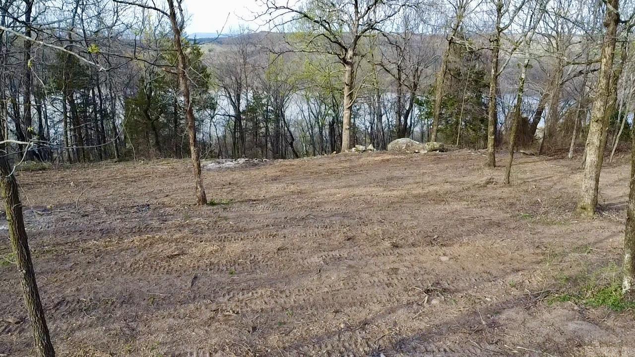 918  Citadel Bluff Trail  Cecil, AR