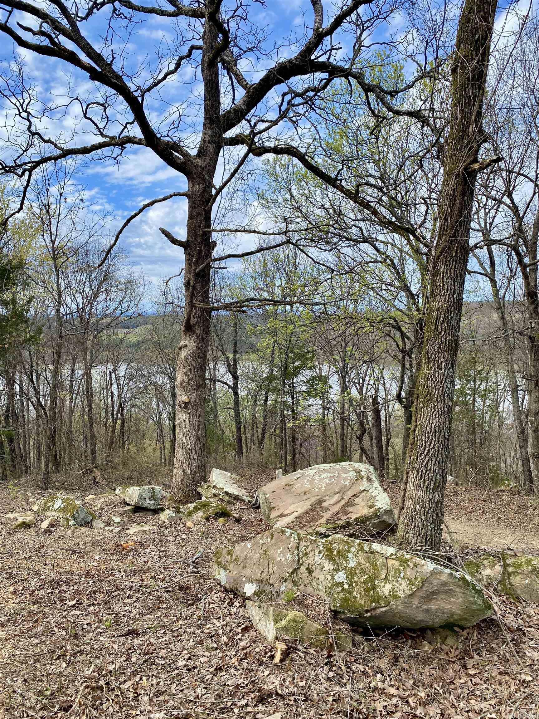 918  Citadel Bluff Trail  Cecil, AR