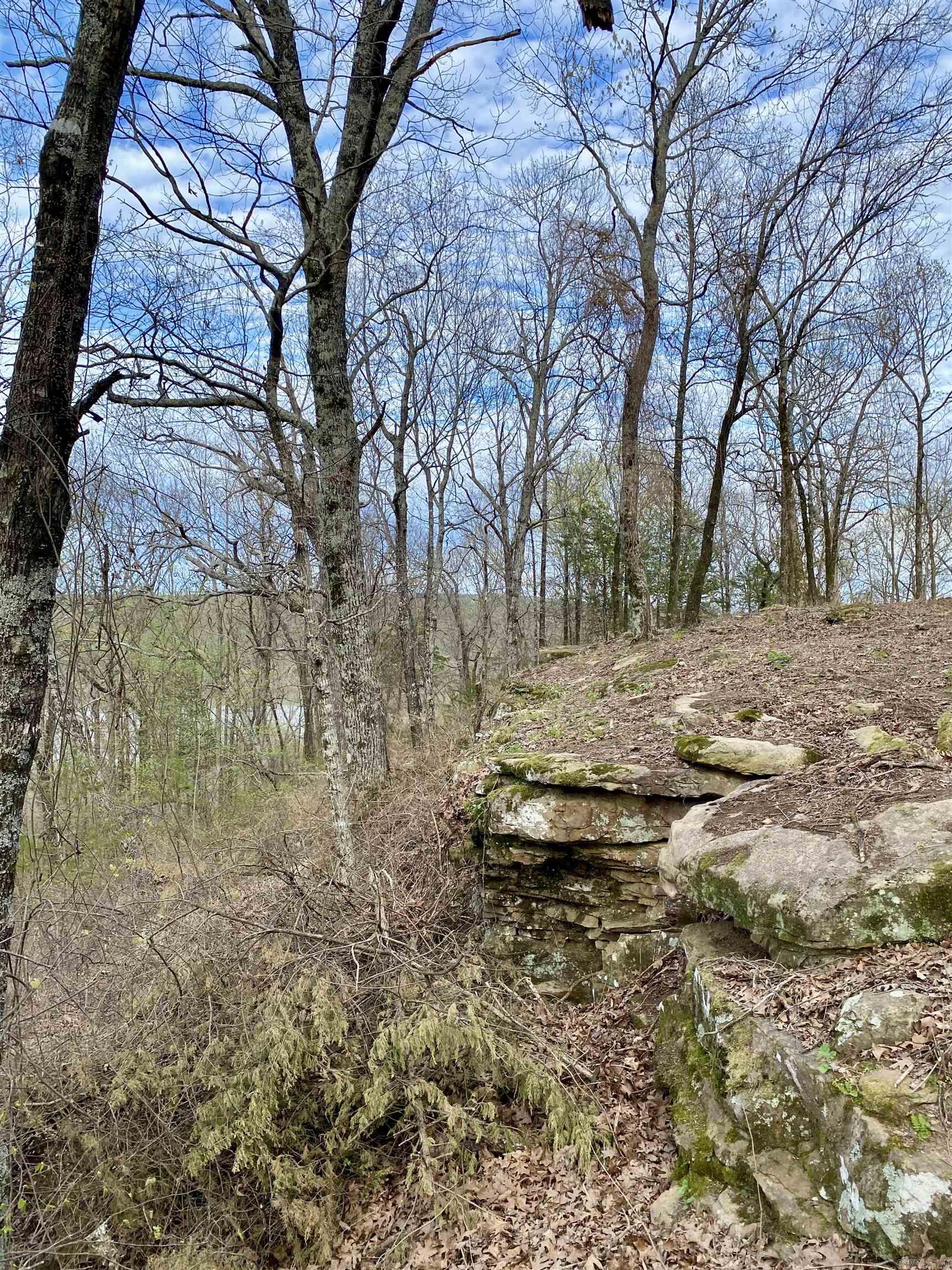 918  Citadel Bluff Trail  Cecil, AR