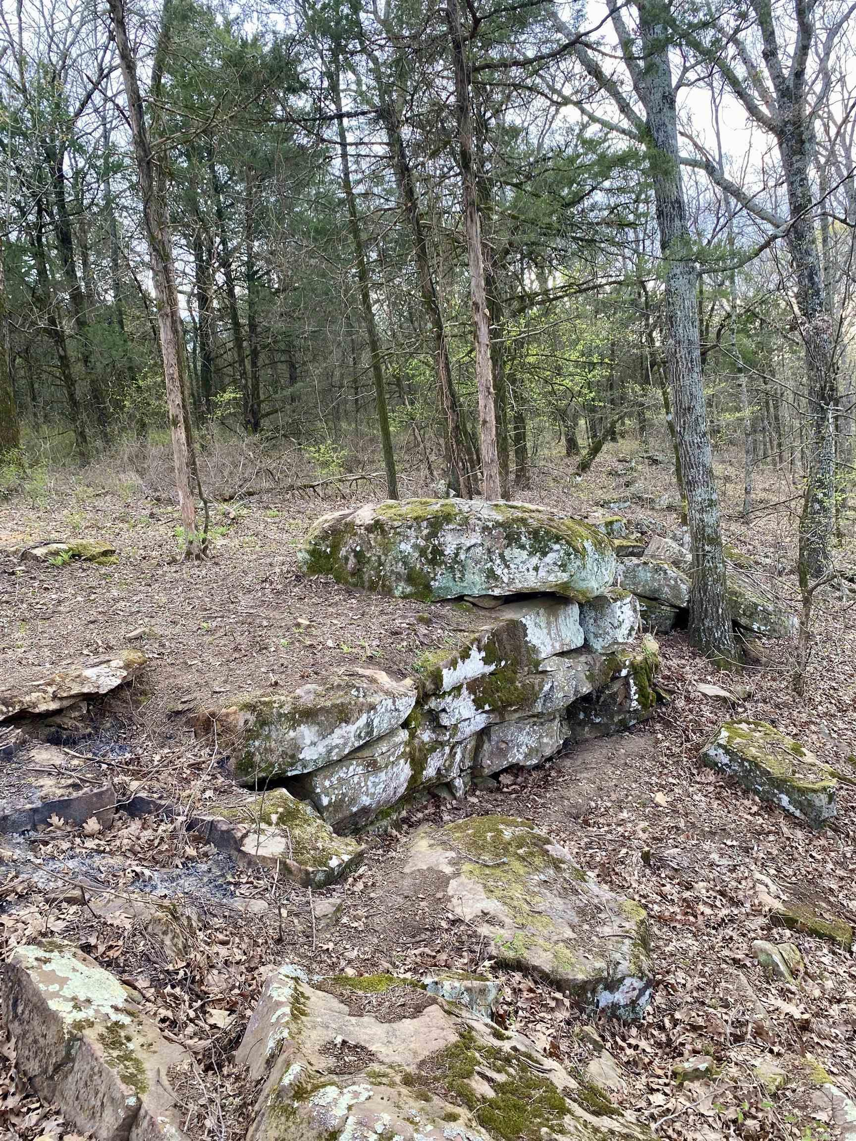 918  Citadel Bluff Trail  Cecil, AR