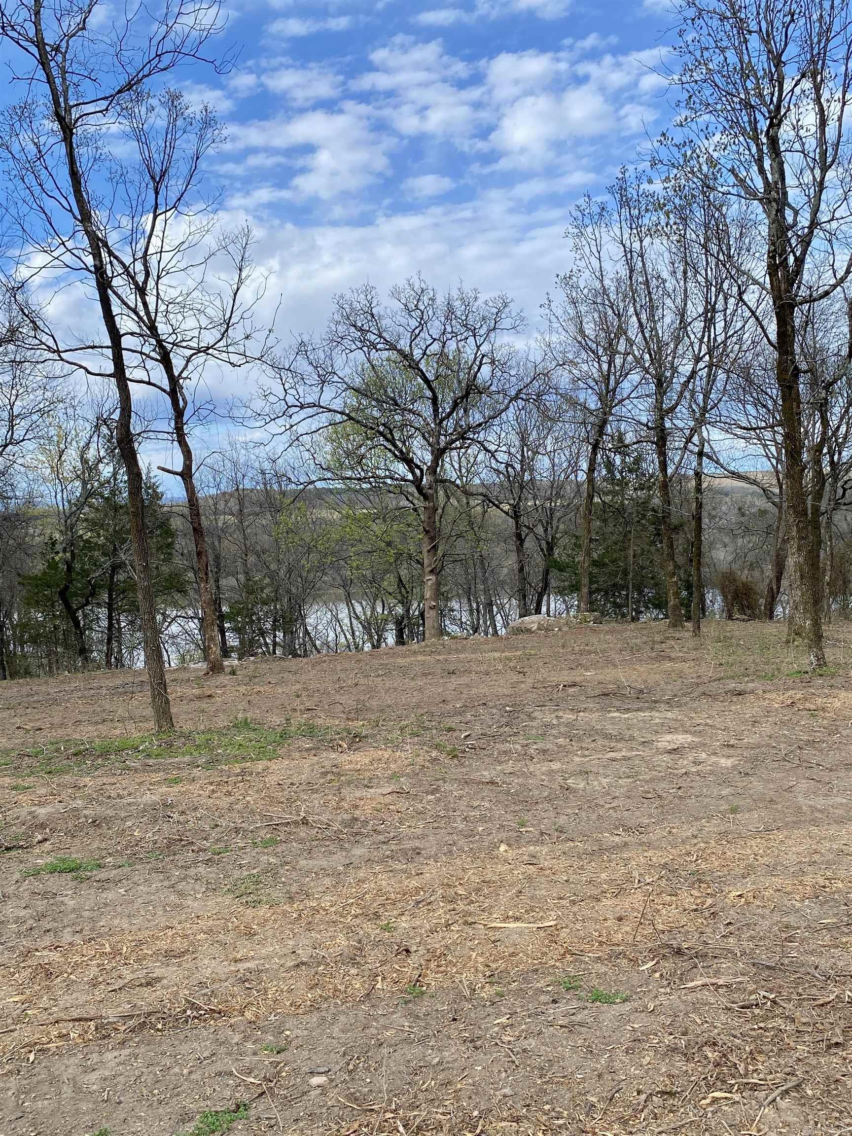 918  Citadel Bluff Trail  Cecil, AR