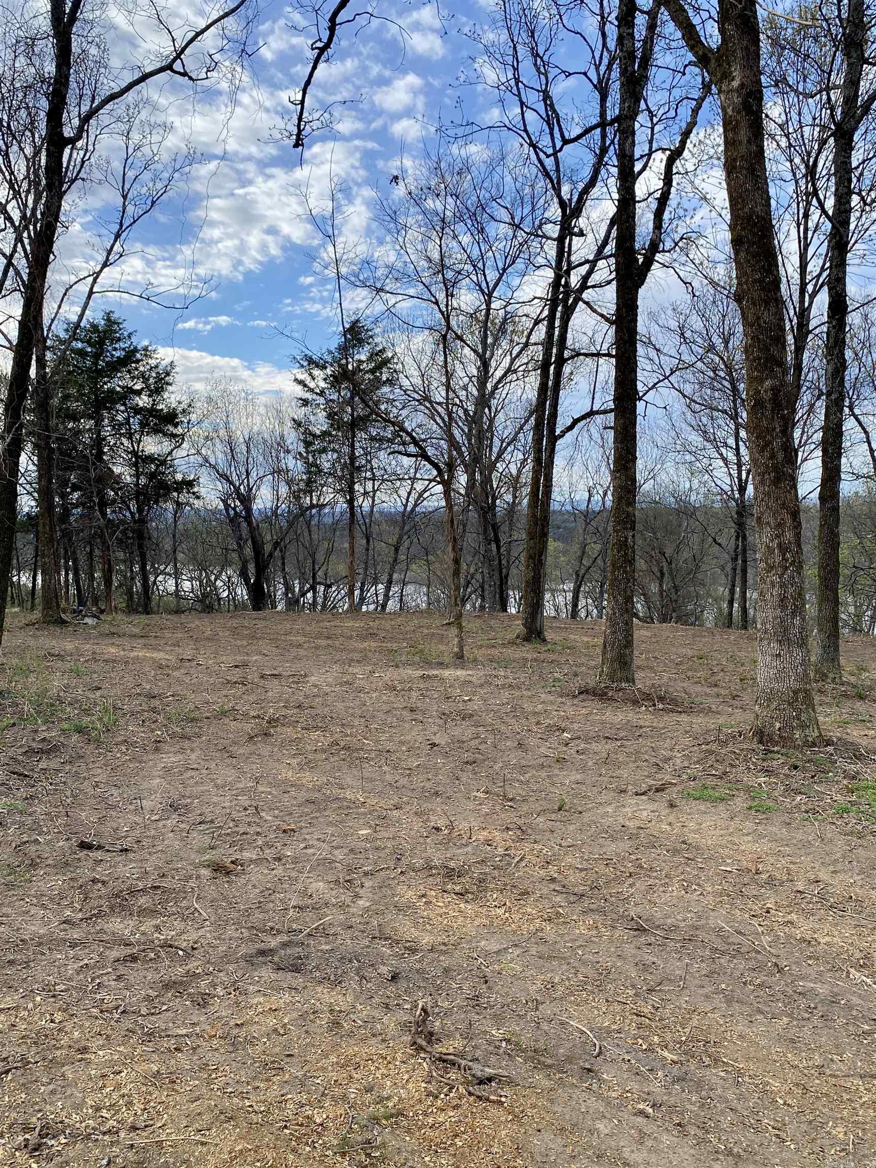 918  Citadel Bluff Trail  Cecil, AR