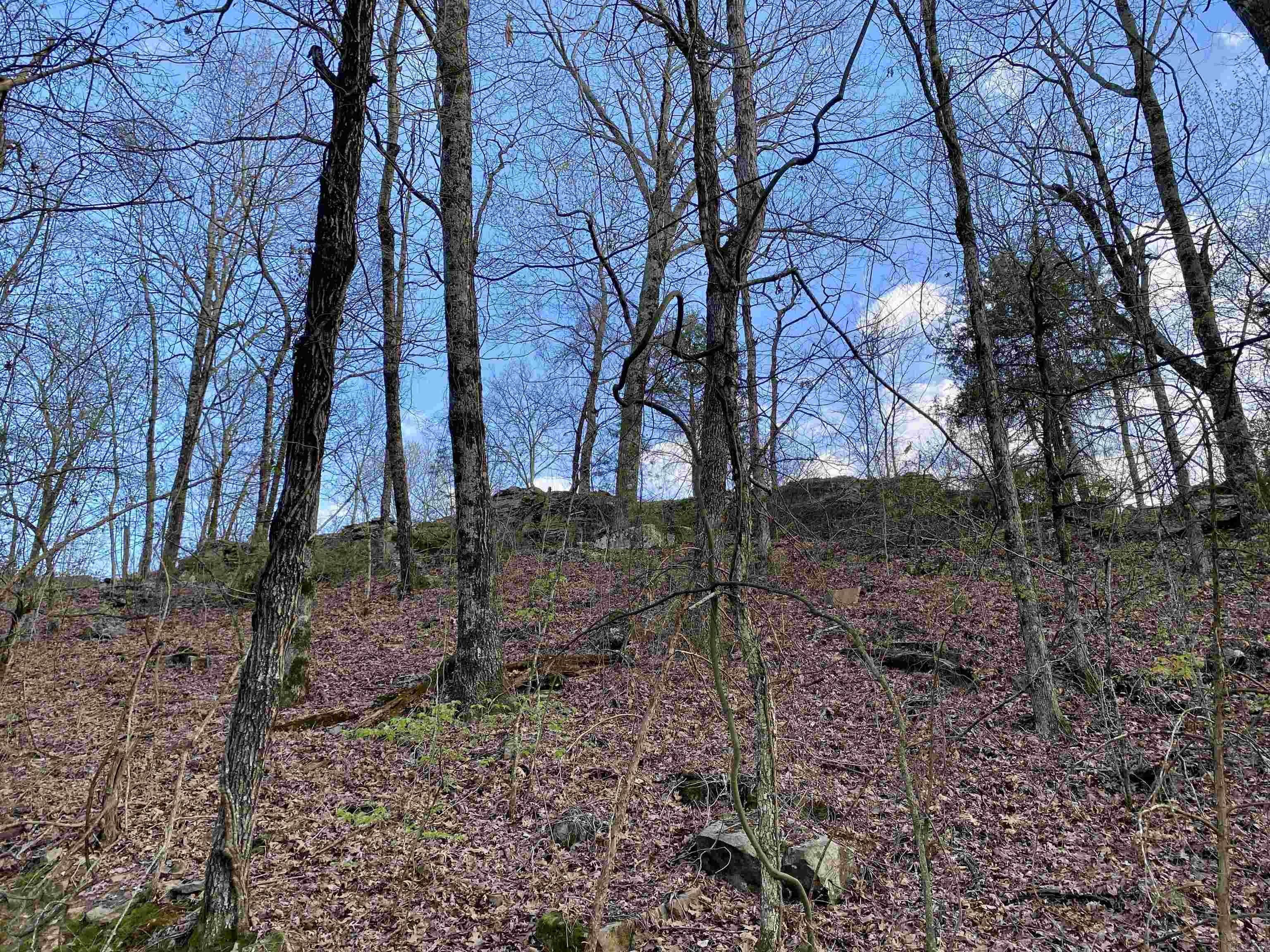 918  Citadel Bluff Trail  Cecil, AR