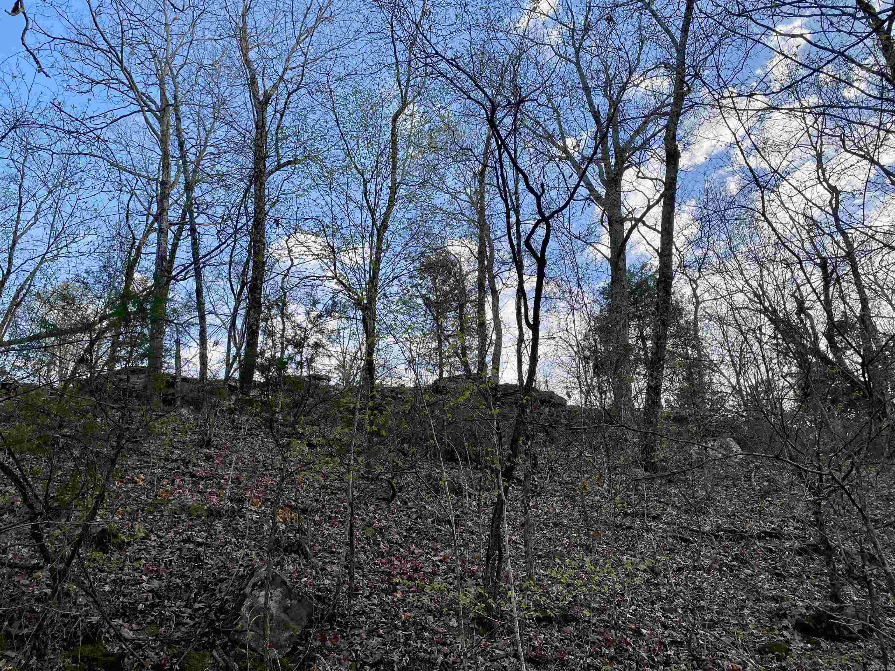 918  Citadel Bluff Trail  Cecil, AR