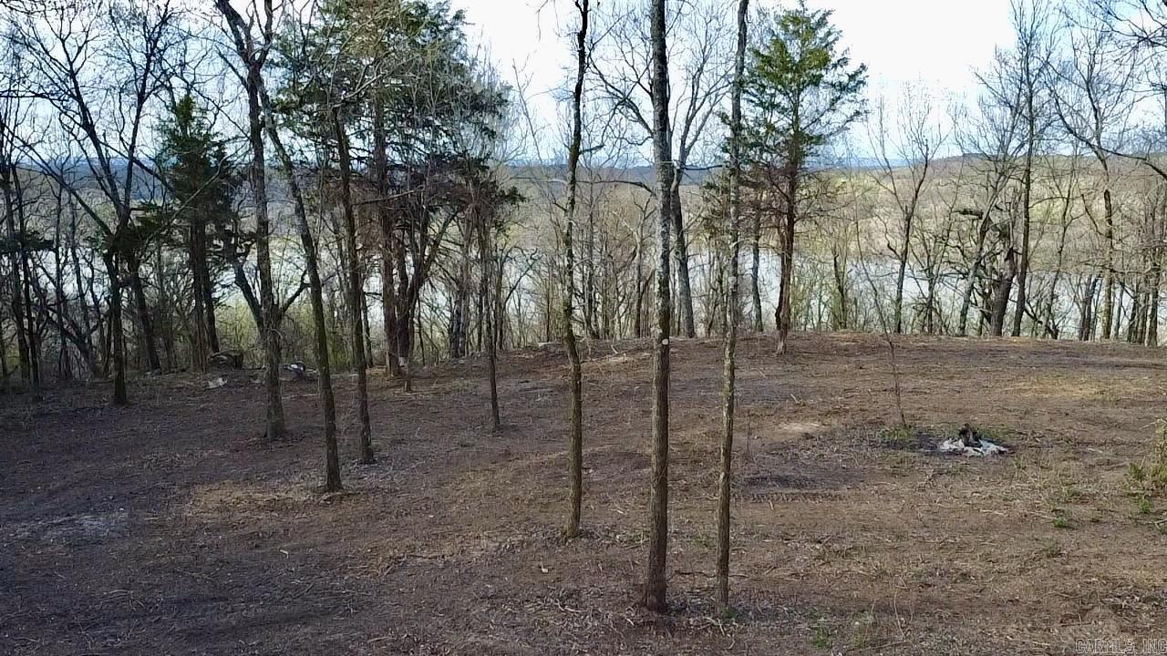 918  Citadel Bluff Trail  Cecil, AR