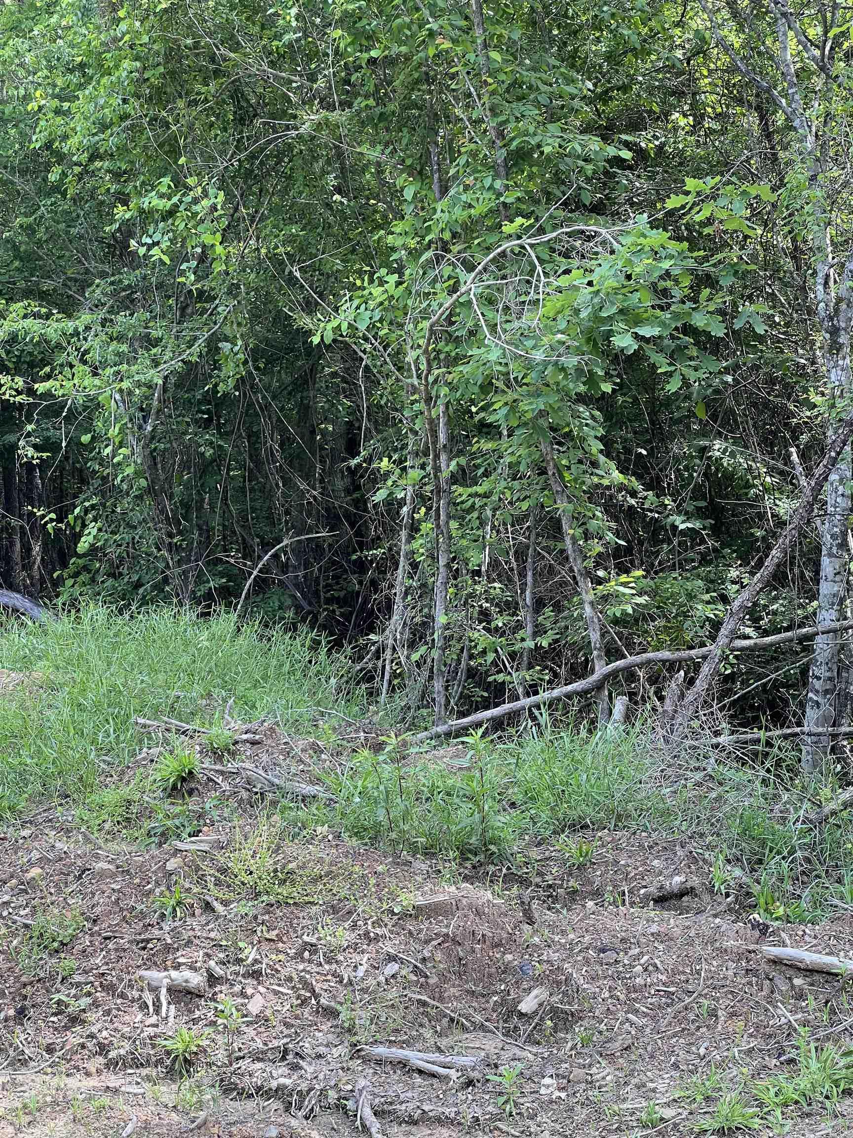 Tract #11  Castle  Glenwood, AR