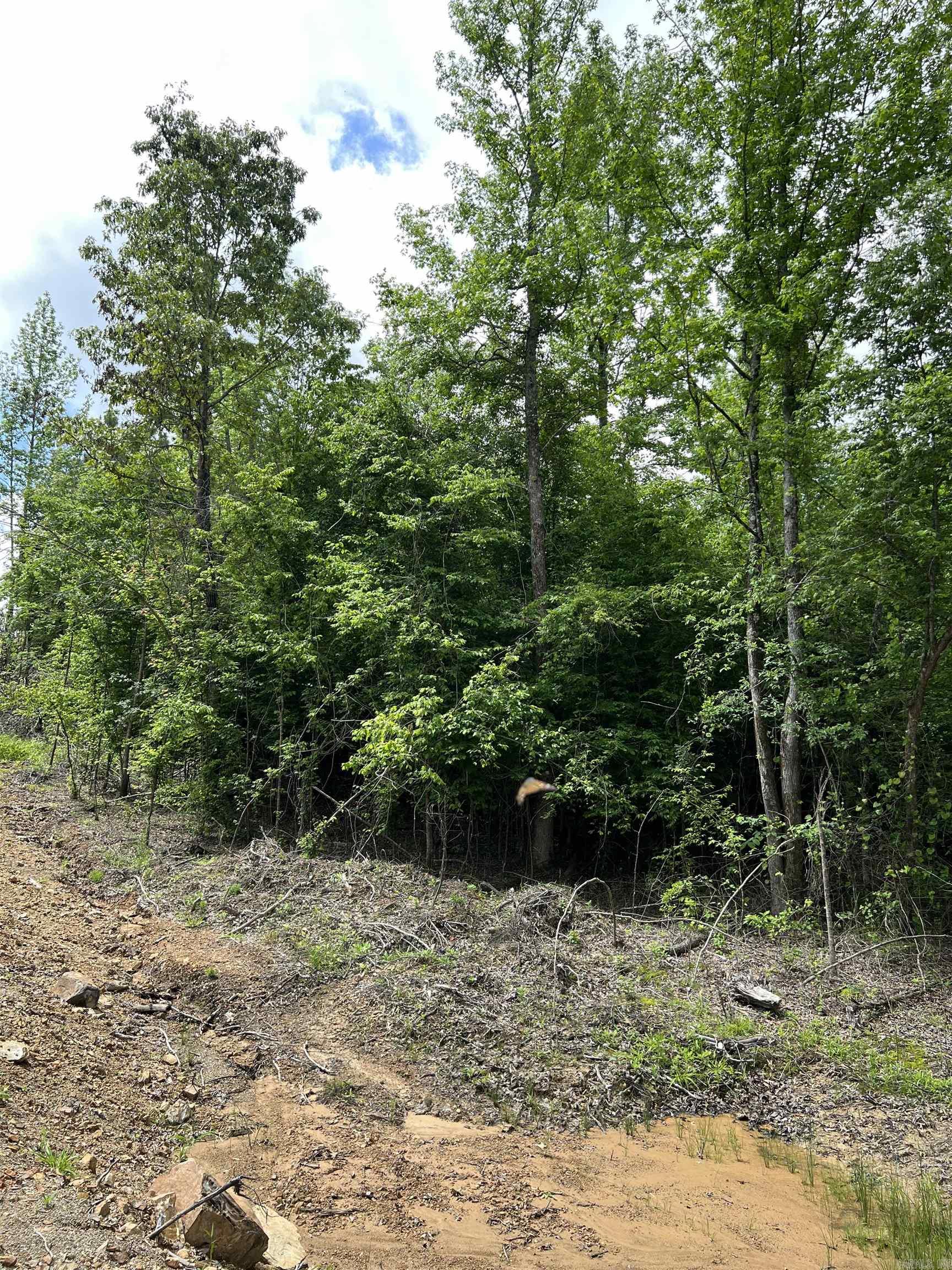 Tract #11  Castle  Glenwood, AR