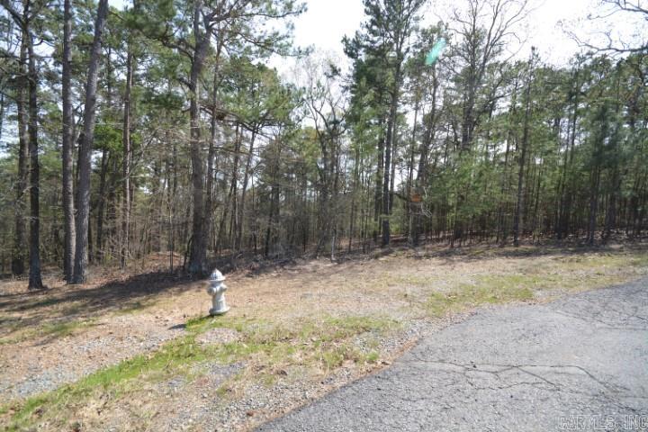 Lot 4  Wilton Mills Mountain Rd Little Rock, AR