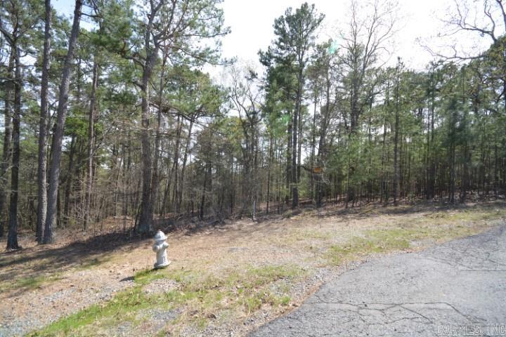 Lot 4  Wilton Mills Mountain Rd Little Rock, AR