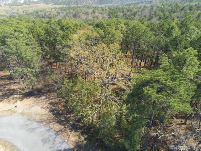 Lot 4  Wilton Mills Mountain Rd Little Rock, AR