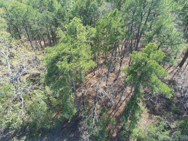 Lot 4  Wilton Mills Mountain Rd Little Rock, AR