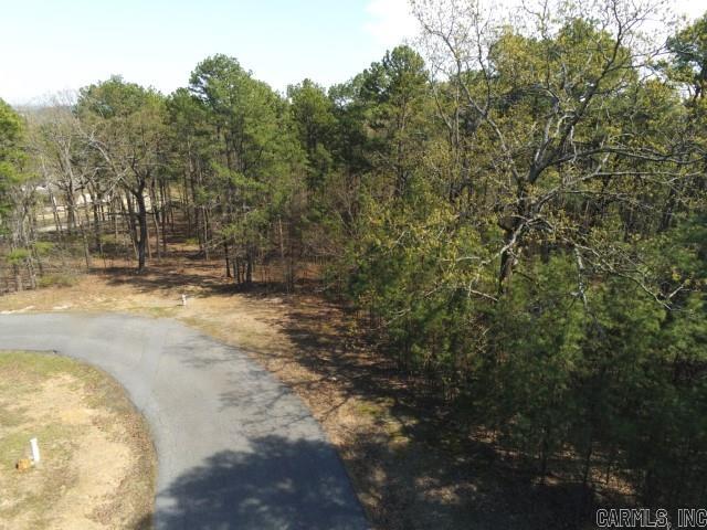 Lot 4  Wilton Mills Mountain Rd Little Rock, AR