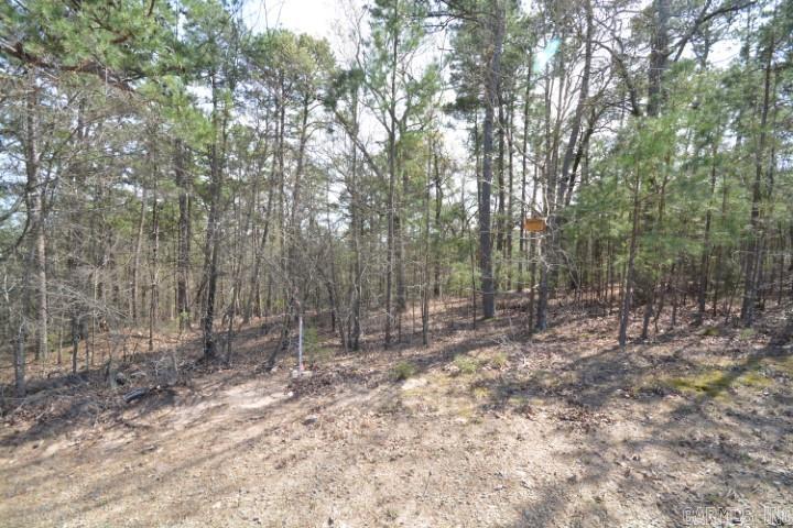 Lot 4  Wilton Mills Mountain Rd Little Rock, AR