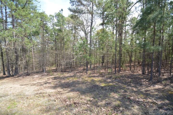 Lot 4  Wilton Mills Mountain Rd Little Rock, AR