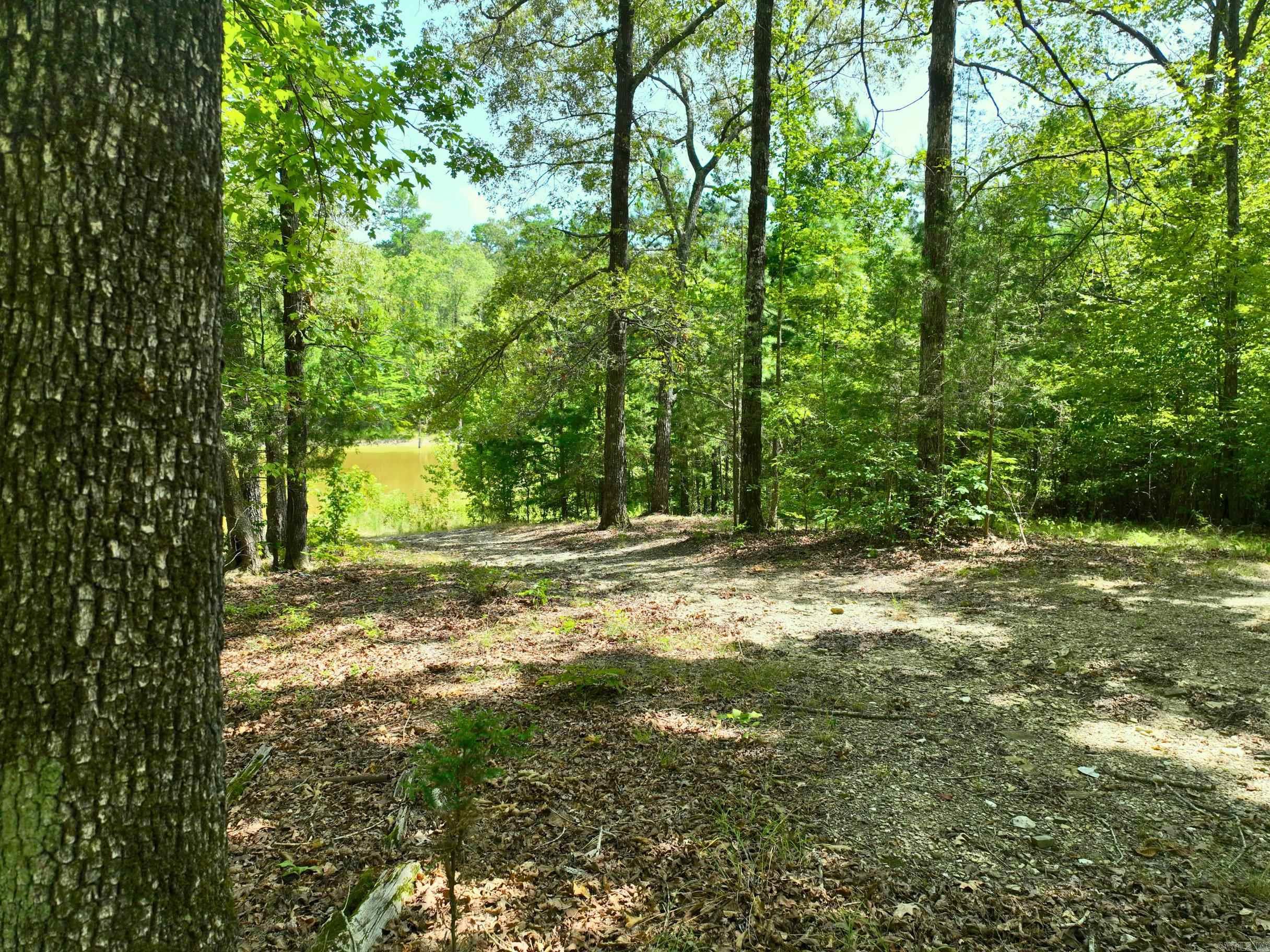 700  Speers  Jessieville, AR
