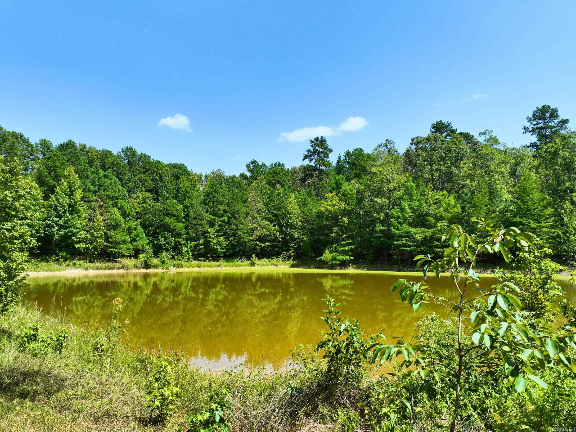 700  Speers  Jessieville, AR