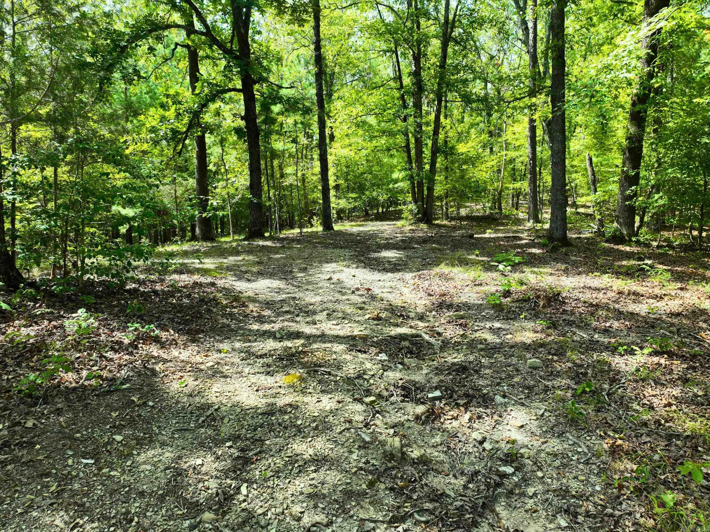 700  Speers  Jessieville, AR