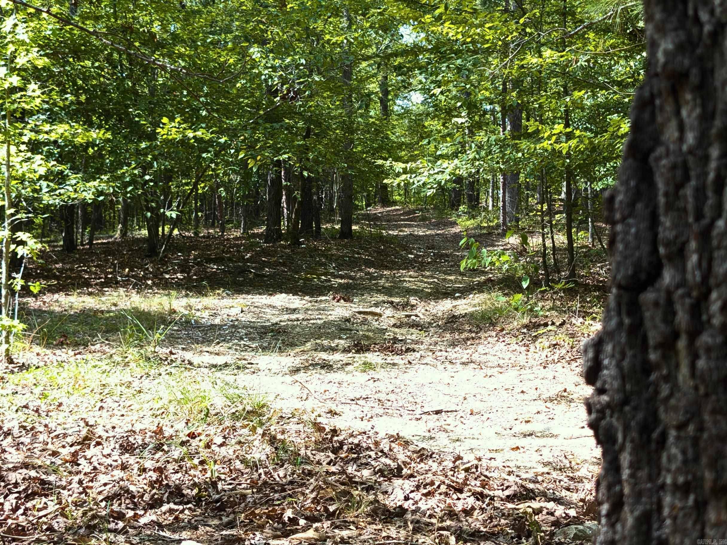 700  Speers  Jessieville, AR