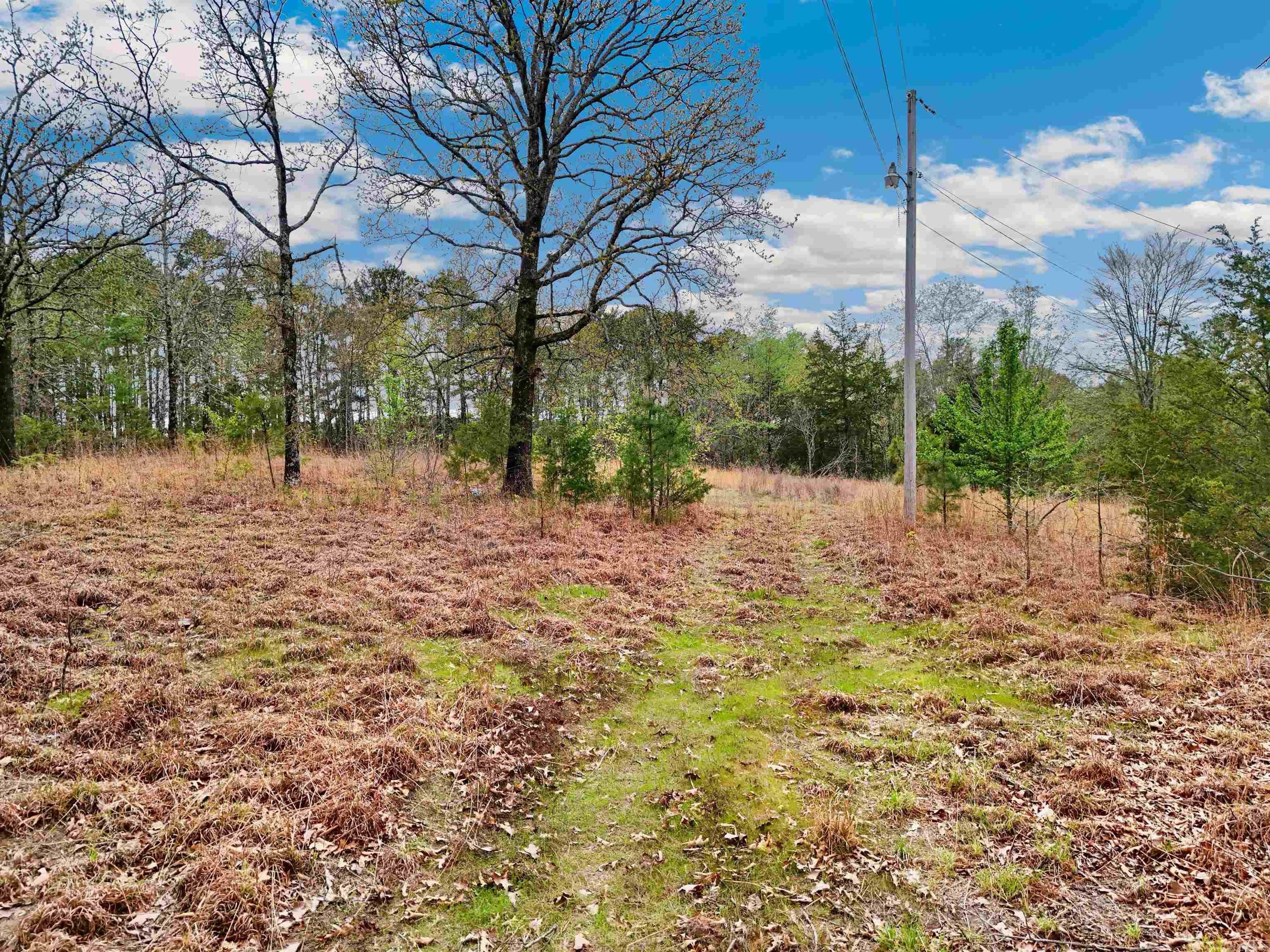 53  Crestview  Conway, AR