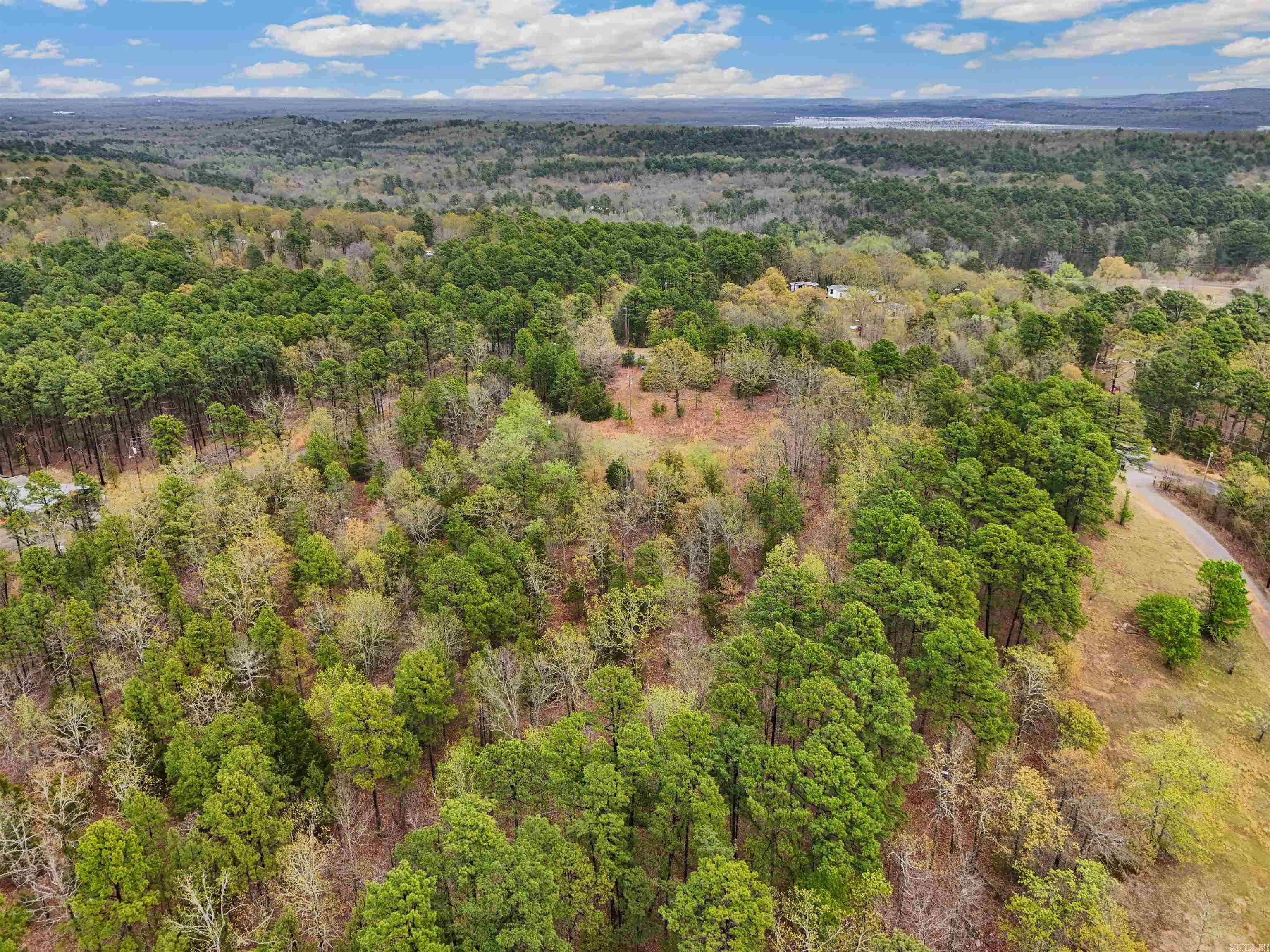 53  Crestview  Conway, AR