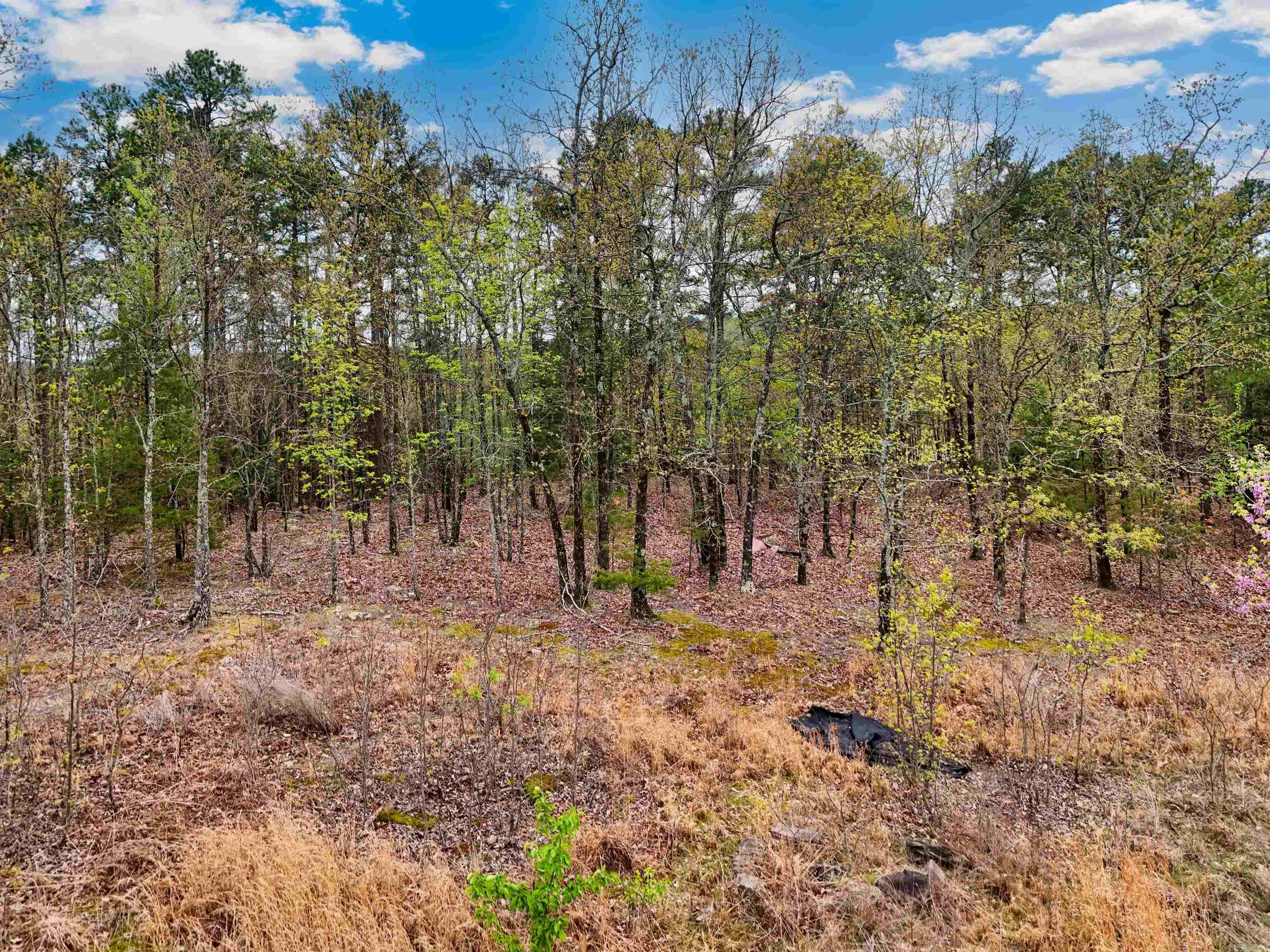 53  Crestview  Conway, AR