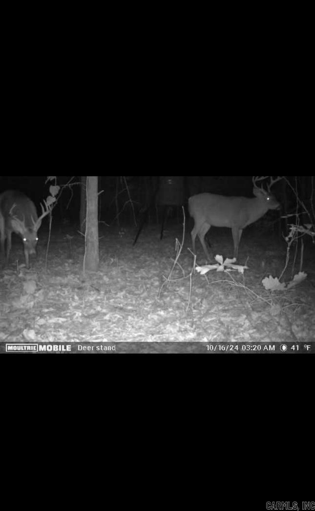 007  Buckeye  Quitman, AR
