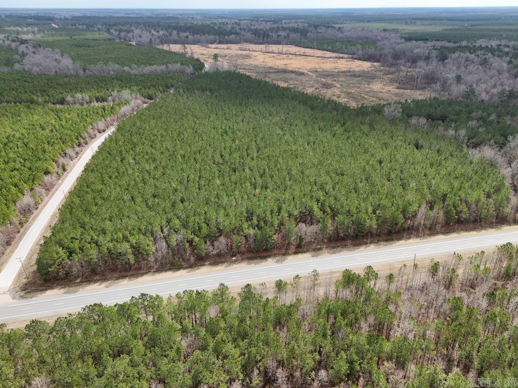 1  Ladelle  Monticello, AR
