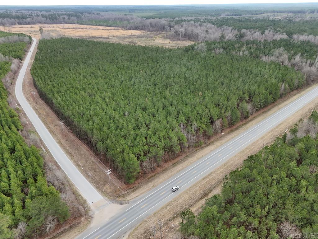 1  Ladelle  Monticello, AR