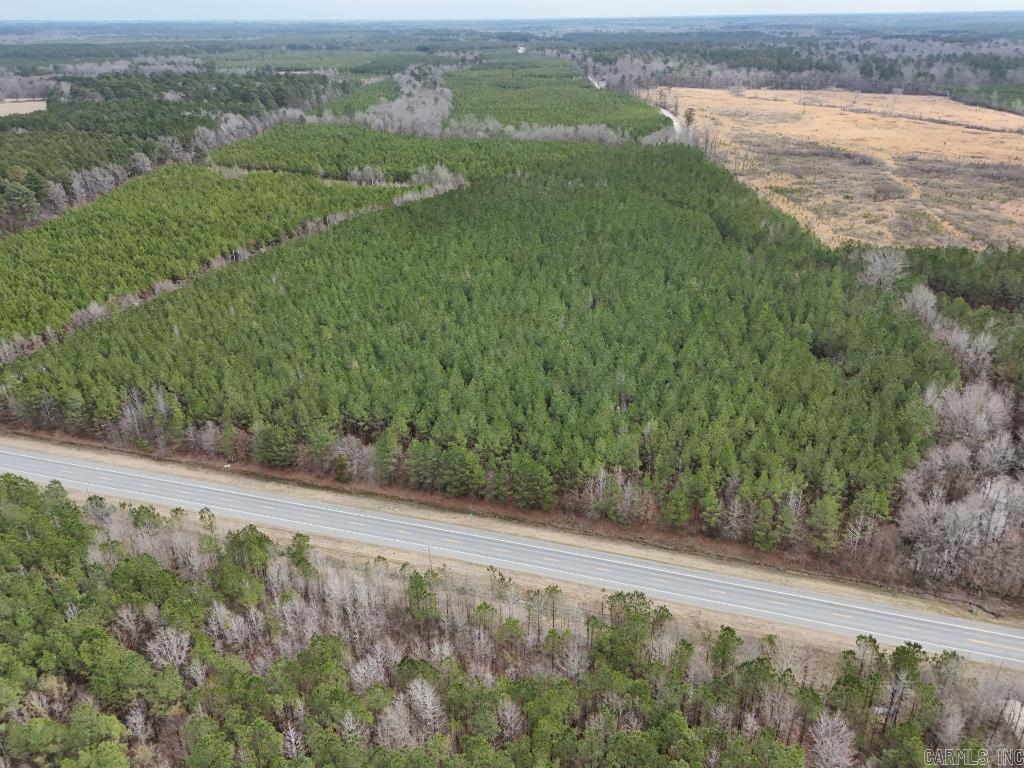 1  Ladelle  Monticello, AR