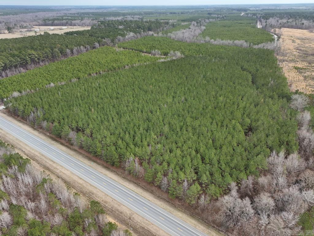 1  Ladelle  Monticello, AR
