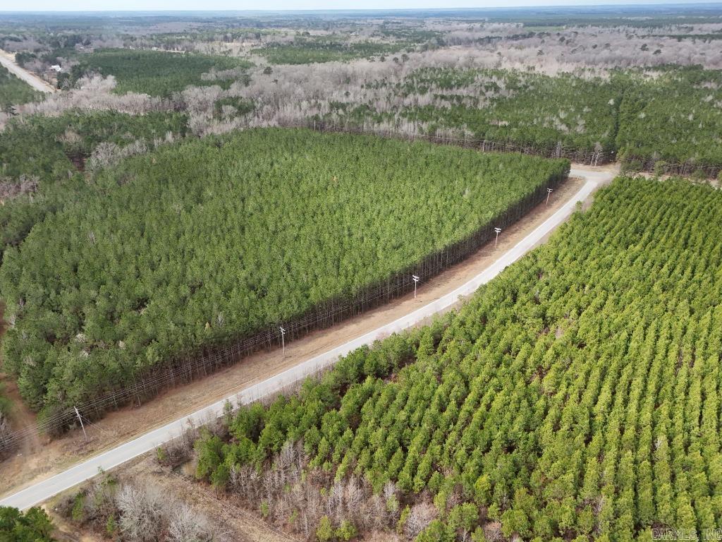 1  Ladelle  Monticello, AR