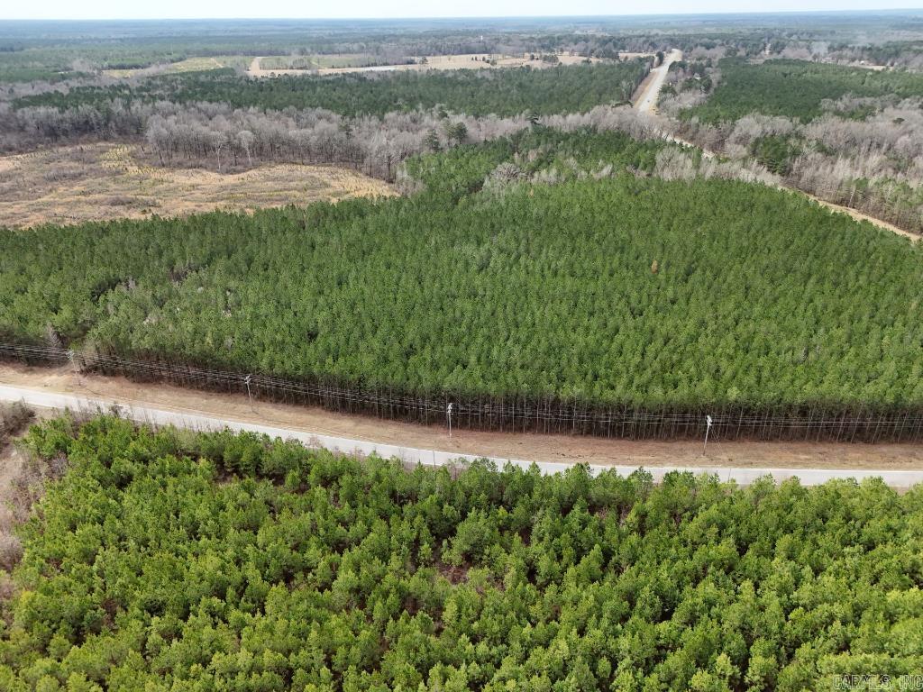 1  Ladelle  Monticello, AR