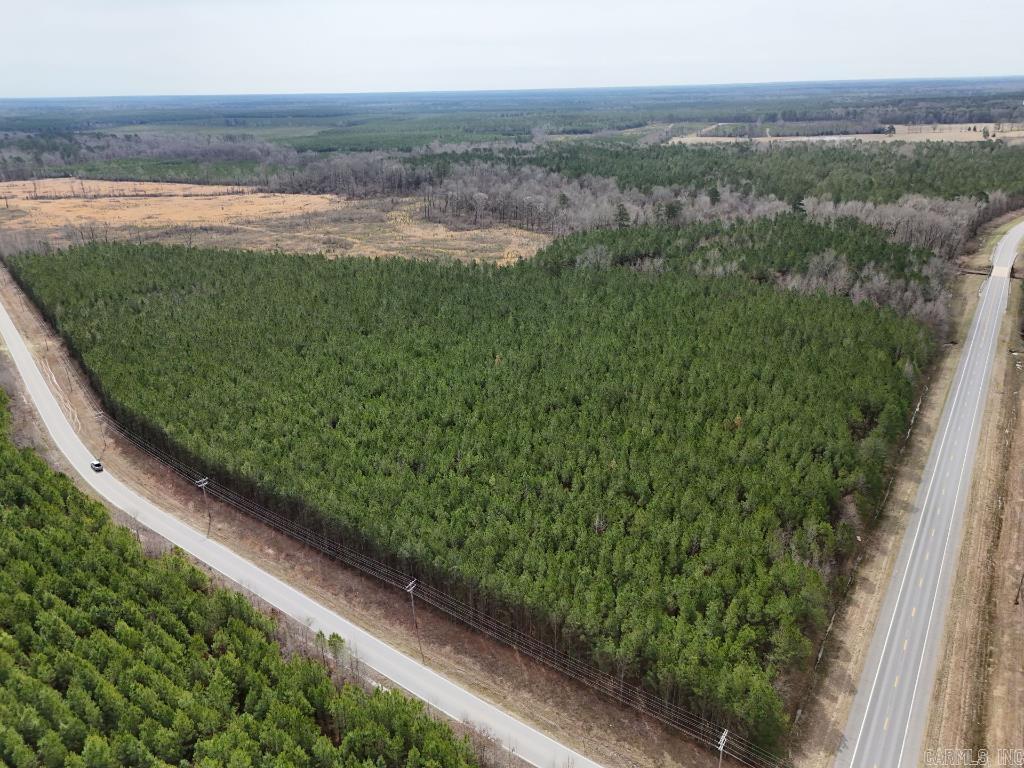 1  Ladelle  Monticello, AR