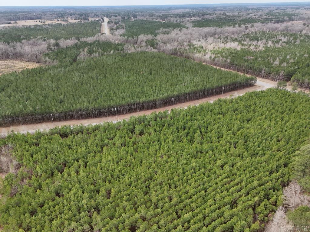 1  Ladelle  Monticello, AR